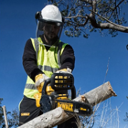 Eletrosserra DeWALT S/Escovas XR 18 V 30 CM DCM565N-XJ